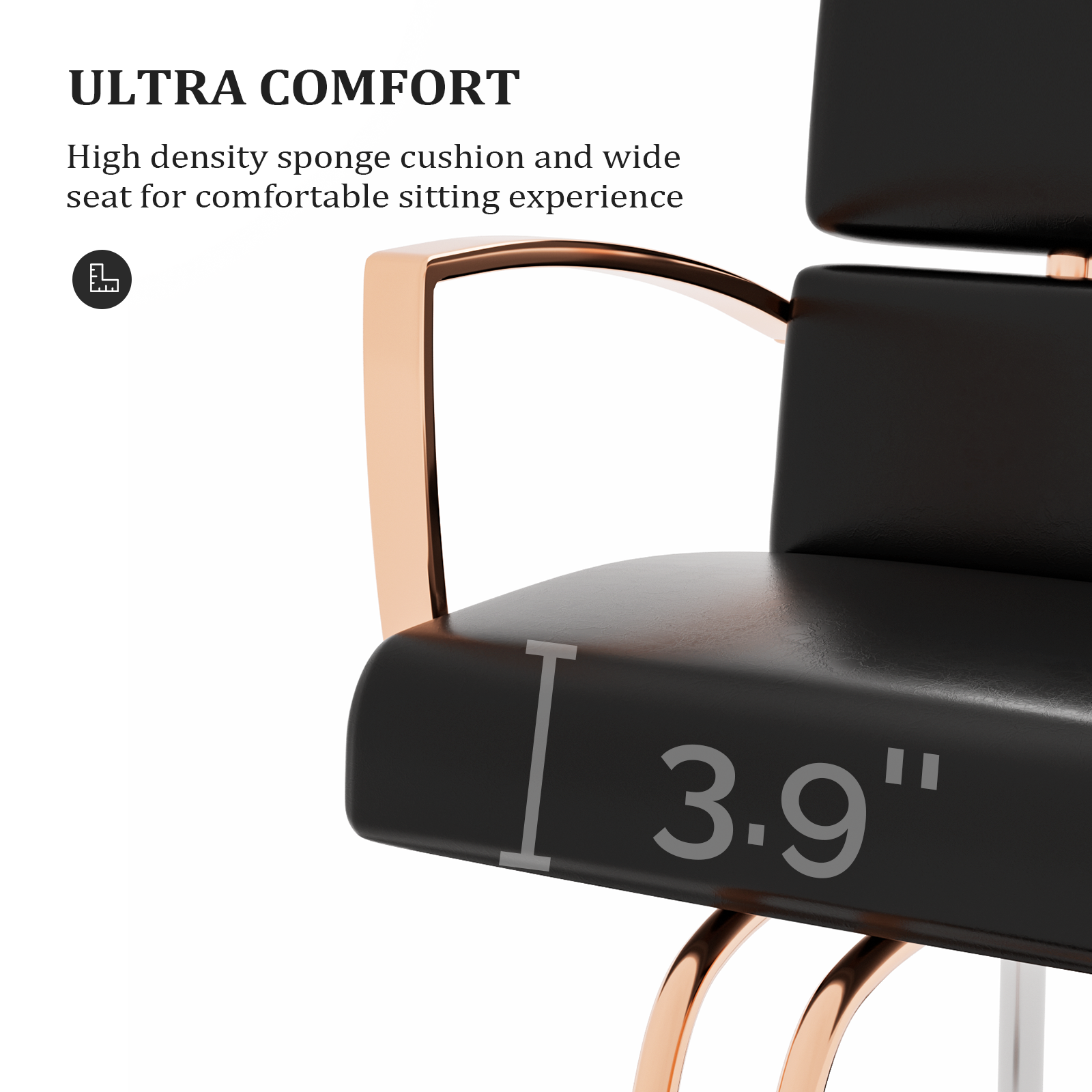 OmySalon Beauty Barber Chair Salon Hydraulic Styling Chair with 360 Degree Swivel