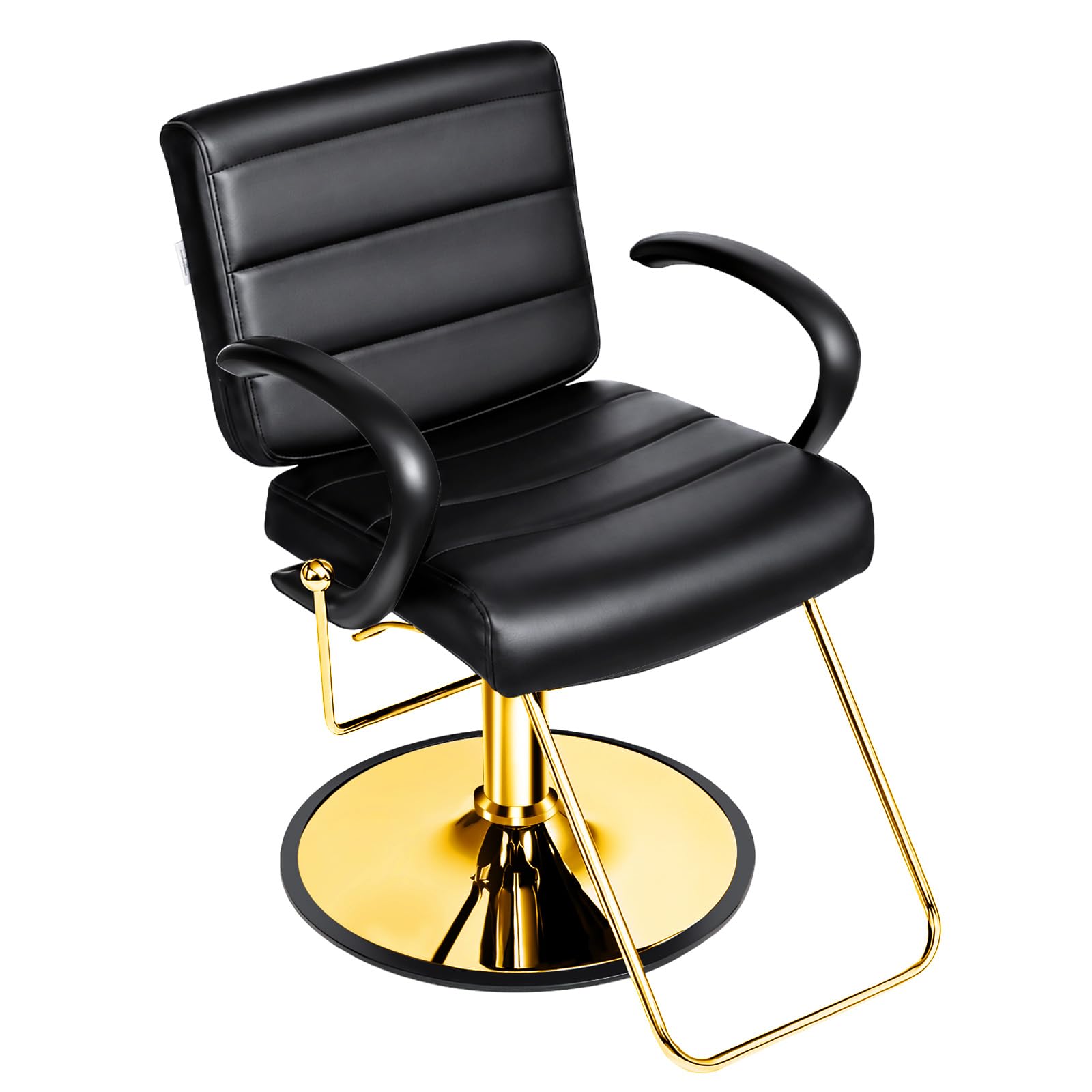 OmySalon SC3701 All Purpose Reclining Hydraulic Salon Styling Chair