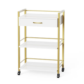 OmySalon Wooden Rolling Utility Esthetician Trolley Cart w/Wheels & Drawer