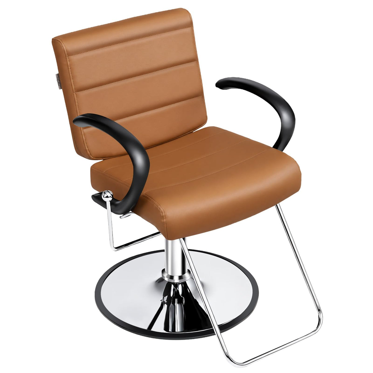 OmySalon SC3701 All Purpose Reclining Hydraulic Salon Styling Chair