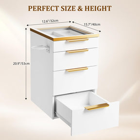 OmySalon WMBCWT Wall Mounted Salon Station with Tempered Glass Top & 4 Drawers Hair Dryer Holder