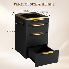 OmySalon WMBCWT Wall Mounted Salon Station with Tempered Glass Top & 4 Drawers Hair Dryer Holder