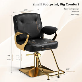 OmySalon SC4001 Gold Metal Frame 360° Swivel Hydraulic Salon Styling Chair