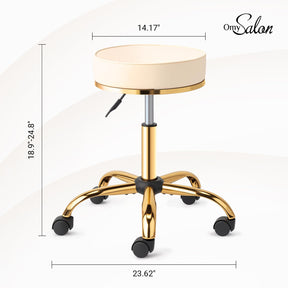 OmySalon Luxury 360° Swivel Hydraulic Adjustable Rolling Round Stool with Wheels