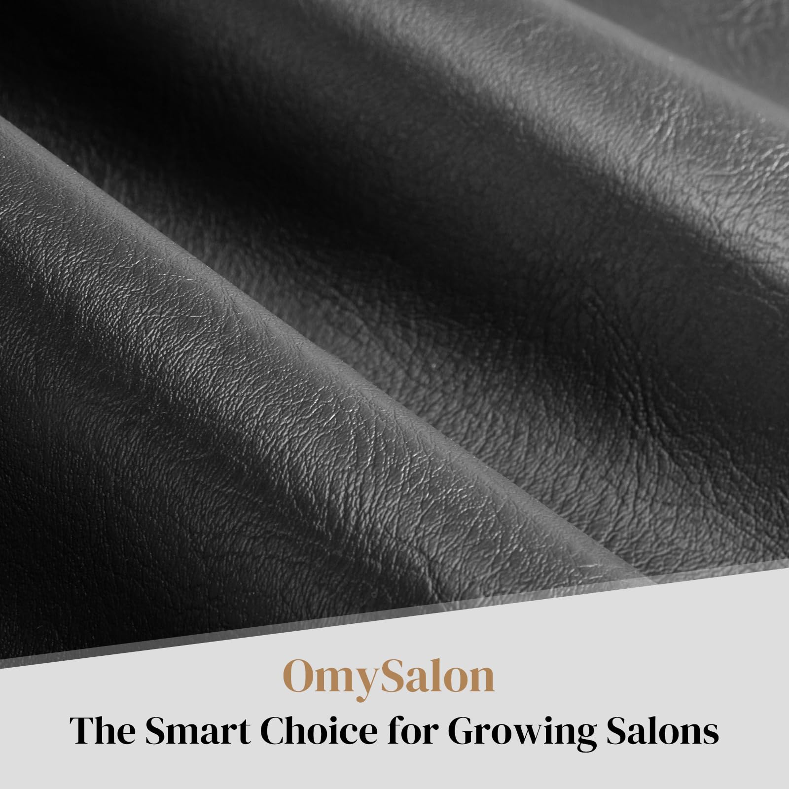 OmySalon SC3501 All Purpose Heavy Duty Hydraulic Reclining Salon Chair w/Headrest and Wave-pattern Armrests