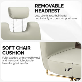 OmySalon SC3801 All Purpose Heavy Duty Hydraulic Reclining Salon Chair with Headrest
