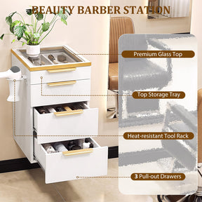 OmySalon WMBCWT Wall Mounted Salon Station with Tempered Glass Top & 4 Drawers Hair Dryer Holder