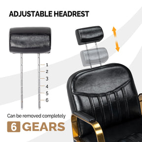 OmySalon SC2201 All Purpose Heavy Duty Reclining Hair Salon Chair w/Headrest