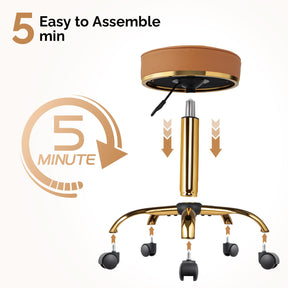 OmySalon Luxury 360° Swivel Hydraulic Adjustable Rolling Round Stool with Wheels