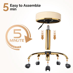 OmySalon Luxury 360° Swivel Hydraulic Adjustable Rolling Round Stool with Wheels