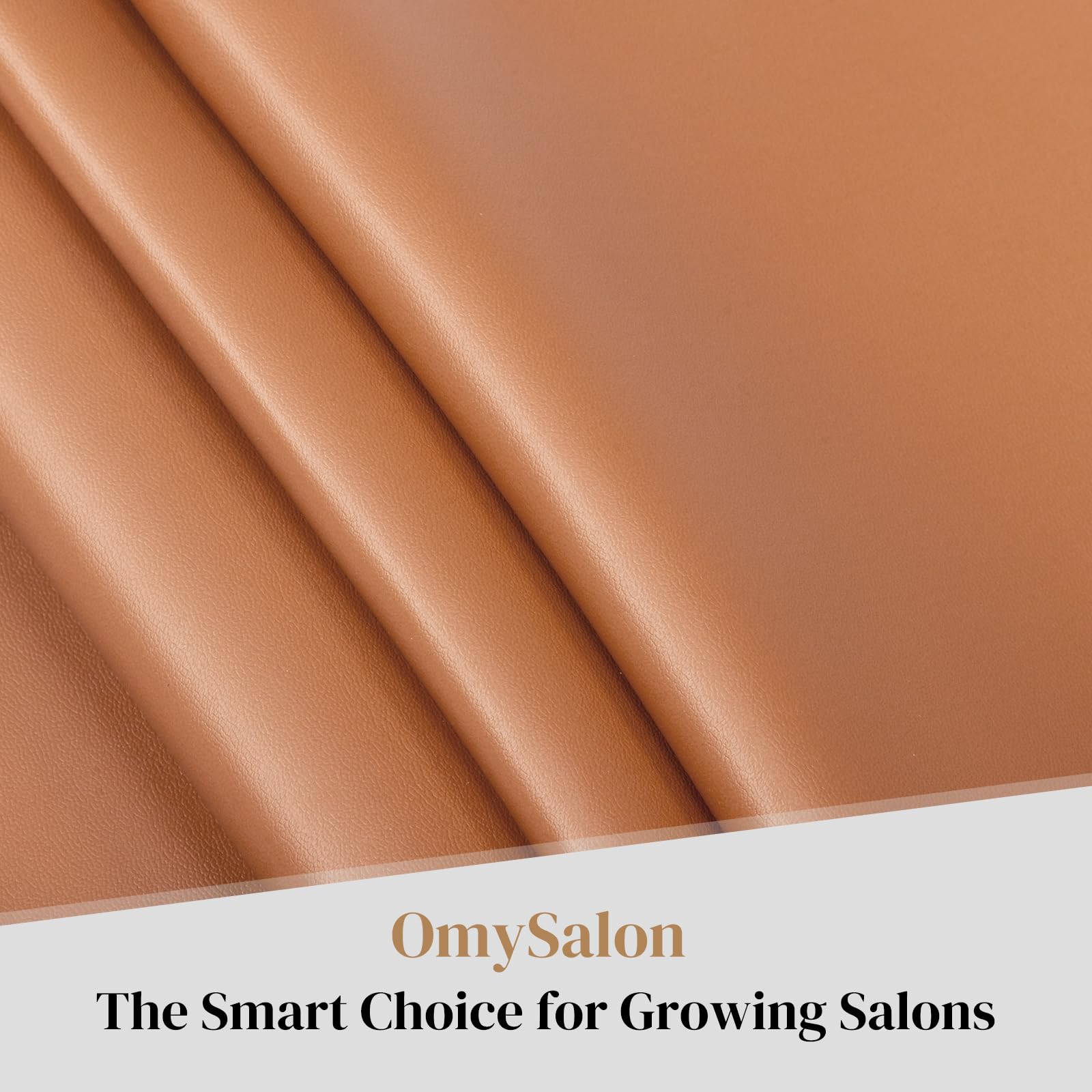 OmySalon SC2311 All Purpose 360° Swivel Hydraulic Reclining Salon Chair w/Headrest