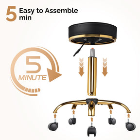 OmySalon Luxury 360° Swivel Hydraulic Adjustable Rolling Round Stool with Wheels