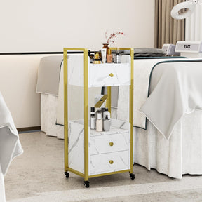 OmySalon Rolling Utility Esthetician Trolley Cart with Wheels