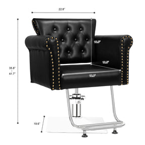 OmySalon Hydraulic Styling Chair Beauty Barber Chair Spa Styling Haird